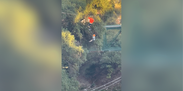 Child falling zipline