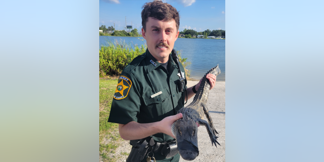 Deputy Sheriff Bujnovsky and gator