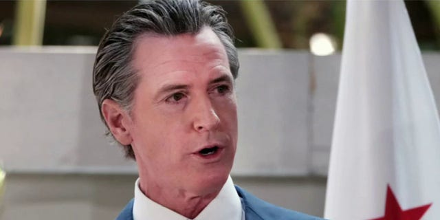 a photo of Gavin Newsom