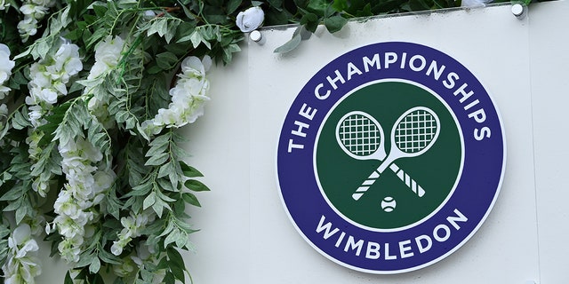 A general view of a Wimbledon Championships 