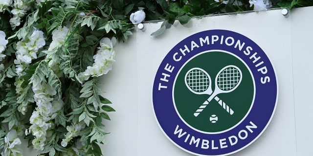 A general view of a Wimbledon Championships