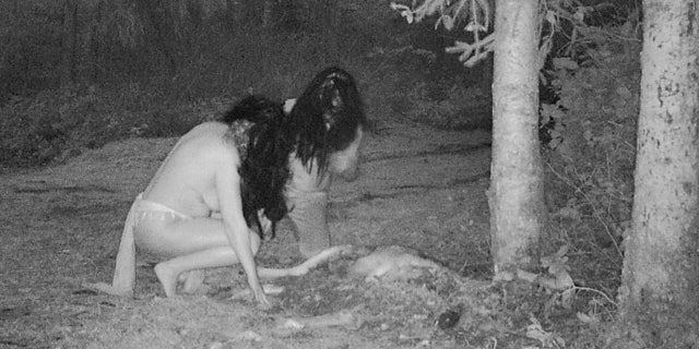 Photo of women stooping implicit cervid carcass