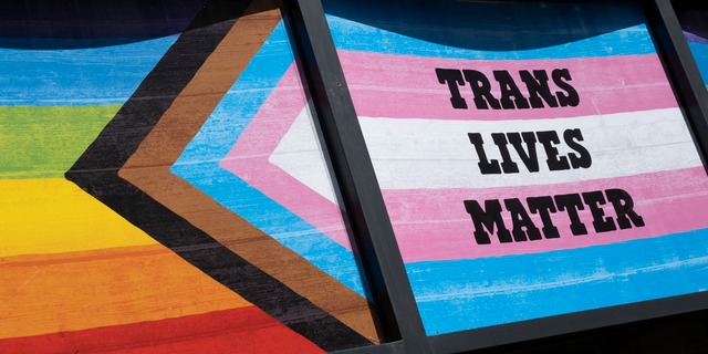 'Trans Lives Matter' flag
