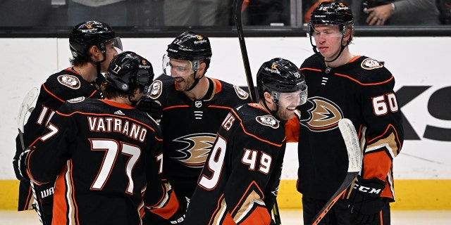 Anaheim Ducks hockey team