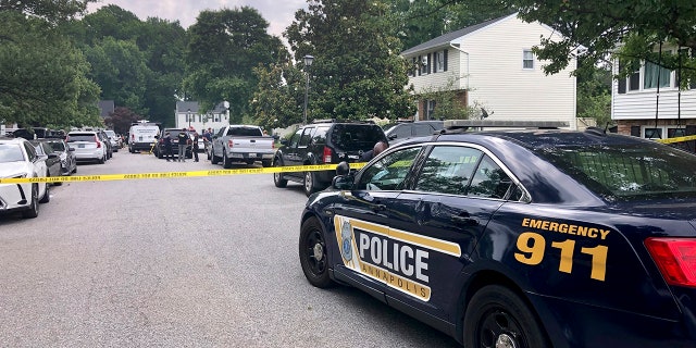 police at scene in the daytime