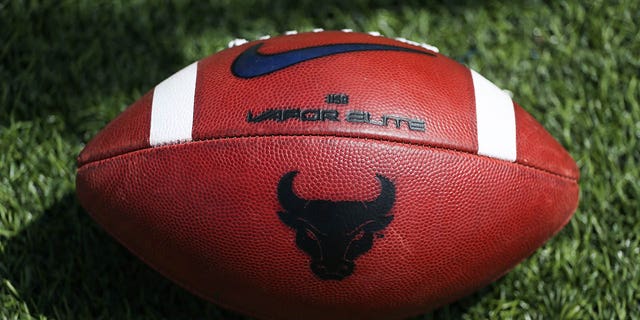Buffalo Bulls logo on a football