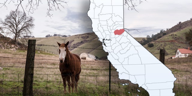 el dorado county california secession
