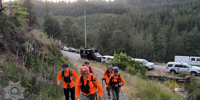 searchers on trail in wooded area