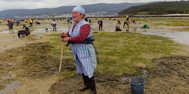 clam collecting in Spain