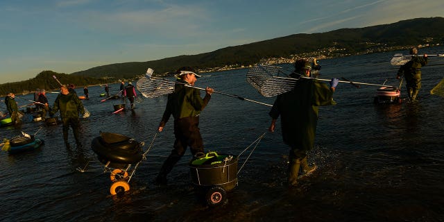 clam collecting in Spain