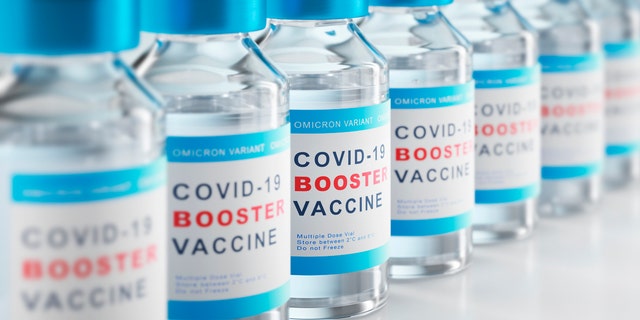 The covid booster vaccine