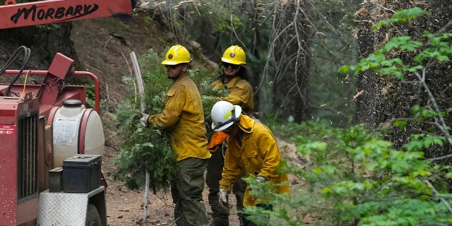 U.S. Forest Service crew 