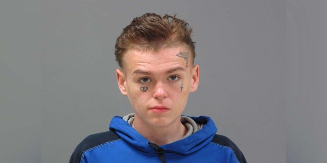 Tristan Stetina mugshot