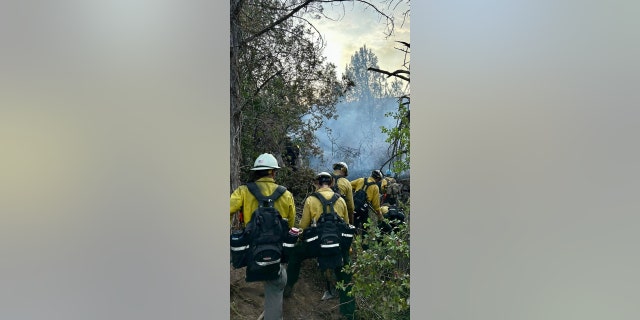 Firefighters work on the Spring Creek Fire in Colorado