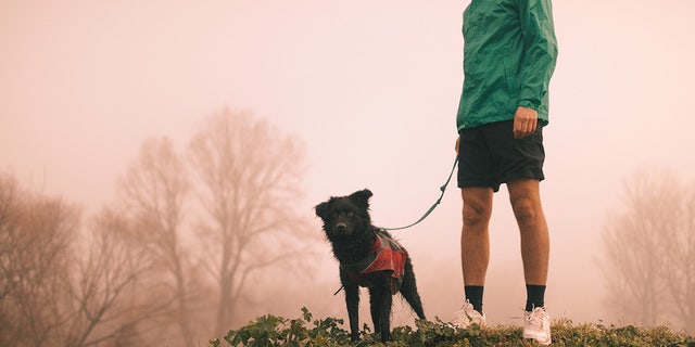 dog and owner on hill in smog