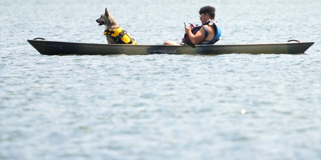 Dog and a man on a boat