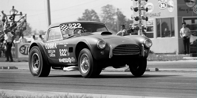 Bruce Larson's Dragonsnake