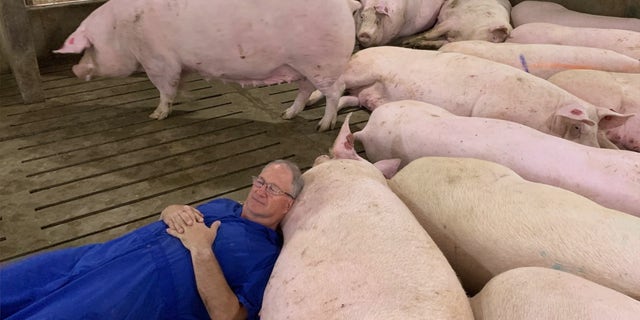 Iowa pork producer