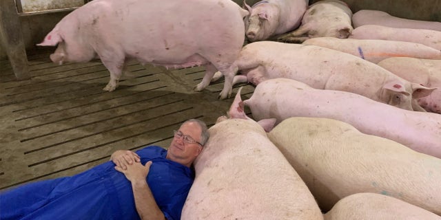 Iowa pork producer