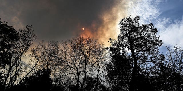 2 Forest Fires In New Jersey Pinelands Almost Completely Contained ...