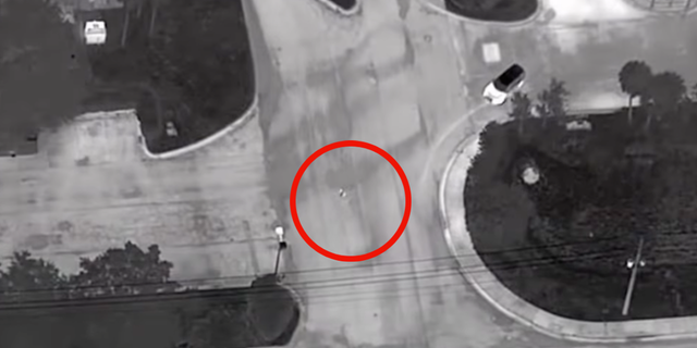 Suspect fleeing authorities in aerial photo