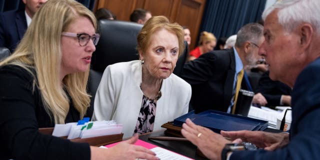 Rep. Kay Granger