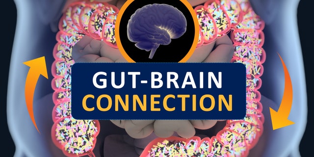 Gut-brain connection