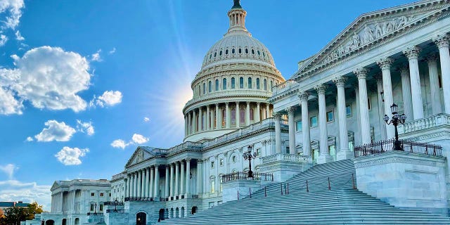 Washington D.C.
