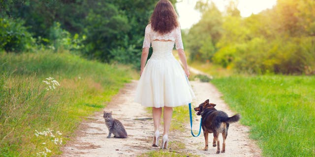 Woman in a white dress walking with dog and cat on the rural road.