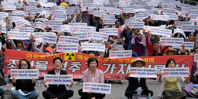 Rally in Seoul