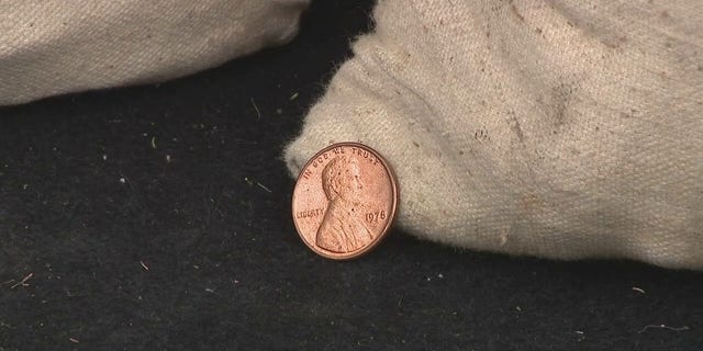 A copper penny next to a bank bag