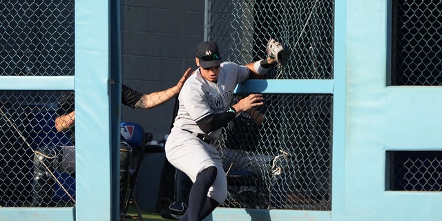 Aaron Judge after catch at wall