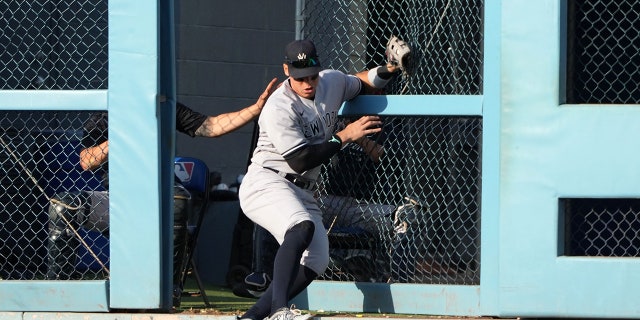 Aaron Judge after catch at wall