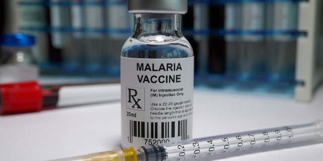 Malaria vaccine