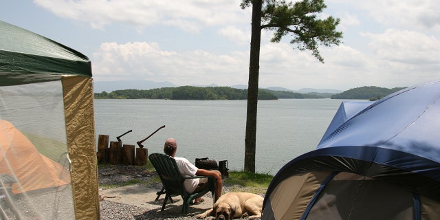 Man camping with his dog
