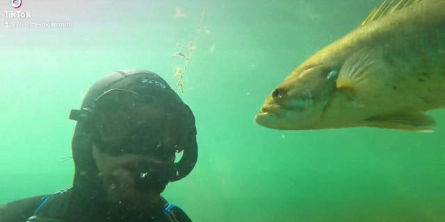 Wisconsin man and fish are friends, seen in lake