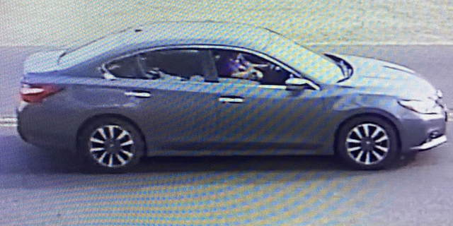 Gray Nissan Altima accused of littering