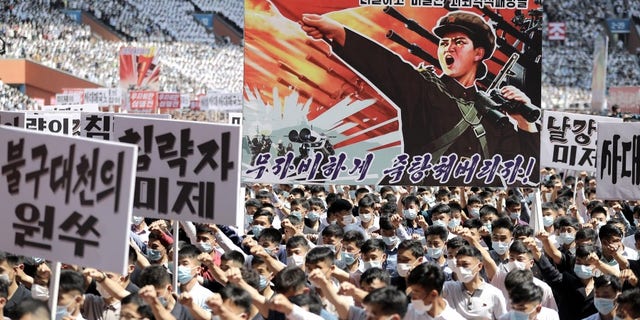 The pictured rally is in Pyongyang