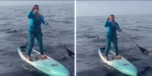 Paddleboarder in 'shock' after video catches shark following her: 'Wasn ...