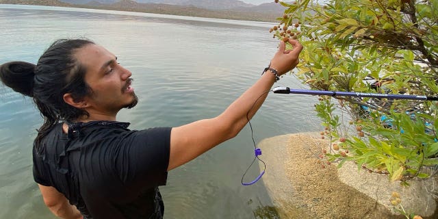 Gabriel Trujillo conducts field research