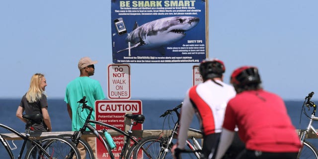 Shark smartphones