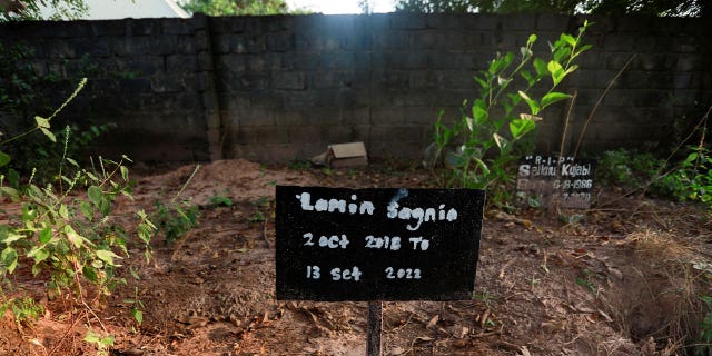 India está investigando acusaciones de soborno de que un regulador ayudó a cambiar muestras para pruebas de jarabe para la tos potencialmente tóxico 4 Tumba en Gambia