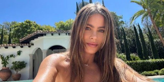 Sofia Vergara poses topless in poolside snap