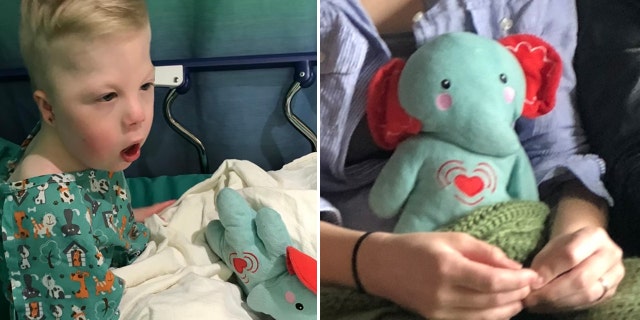 Stuffed animal missing
