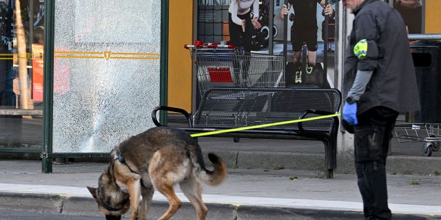 Suecia escena del crimen