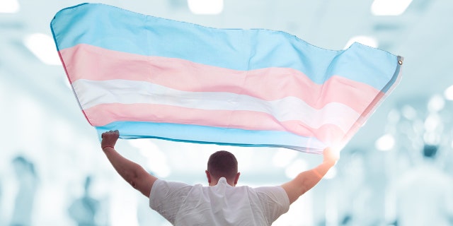 transgender rally london terf violence