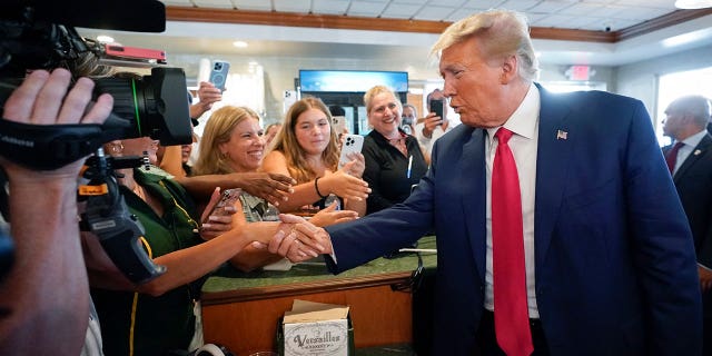 Trump shakes hands with supporter on campaign trail