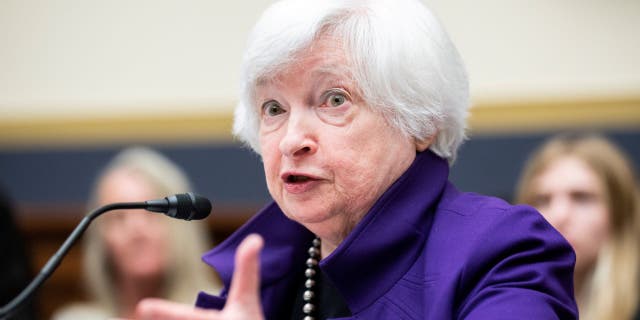 Finanzministerin Janet Yellen