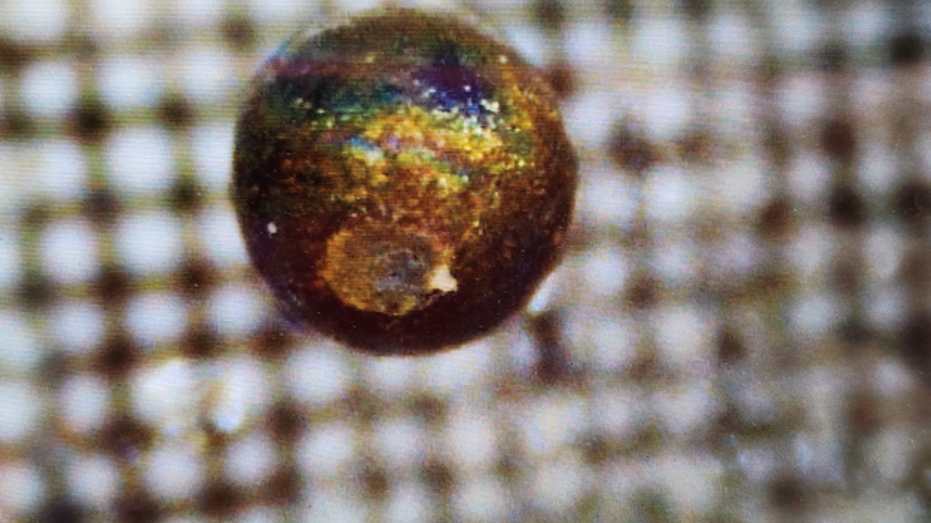 Strange objects on ocean floor may be UFO crash debris: Harvard professor | Fox News