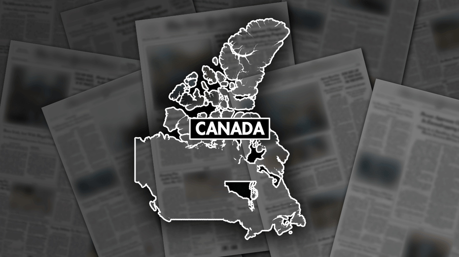 Marineland in Niagara Falls, Ontario, faces charges over black bear care